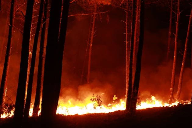 Firefighters continue battling wildfire in southwestern France LEGE-CAP-FERRET, FRANCE - JULY 29: Flames spread through the Grand Crohot forest during a controlled burn carried out near Lege-Cap-Ferret, southwestern France, on July 29, 2026. The operation was conducted as part of wildfire prevention measures following recent blazes in the region. Mohamad Salaheldin Abdelghani Alsayed Anadolu Lege-Cap-Ferret France. Editorial use only. Please get in touch for any other usage.  Copyright: x2026xAnadoluxMohamadxSalaheldinxAbdelghanixAlsayedx