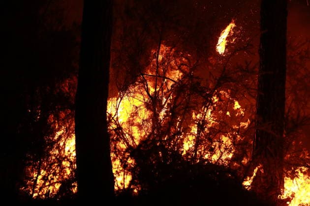 Firefighters continue battling wildfire in southwestern France LEGE-CAP-FERRET, FRANCE - JULY 29: Flames spread through the Grand Crohot forest during a controlled burn carried out near Lege-Cap-Ferret, southwestern France, on July 29, 2026. The operation was conducted as part of wildfire prevention measures following recent blazes in the region. Mohamad Salaheldin Abdelghani Alsayed Anadolu Lege-Cap-Ferret France. Editorial use only. Please get in touch for any other usage.  Copyright: x2026xAnadoluxMohamadxSalaheldinxAbdelghanixAlsayedx