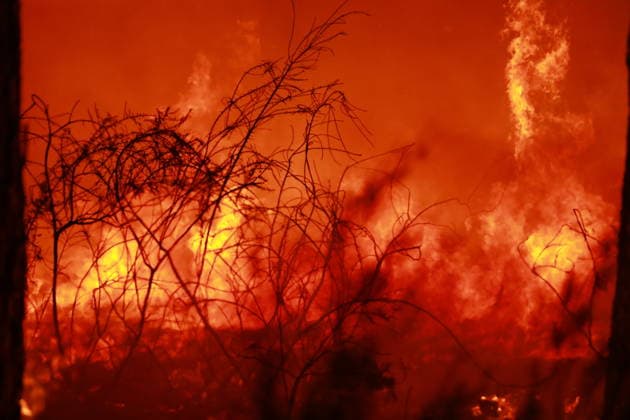 Firefighters continue battling wildfire in southwestern France LEGE-CAP-FERRET, FRANCE - JULY 29: Flames spread through the Grand Crohot forest during a controlled burn carried out near Lege-Cap-Ferret, southwestern France, on July 29, 2026. The operation was conducted as part of wildfire prevention measures following recent blazes in the region. Mohamad Salaheldin Abdelghani Alsayed Anadolu Lege-Cap-Ferret France. Editorial use only. Please get in touch for any other usage.  Copyright: x2026xAnadoluxMohamadxSalaheldinxAbdelghanixAlsayedx