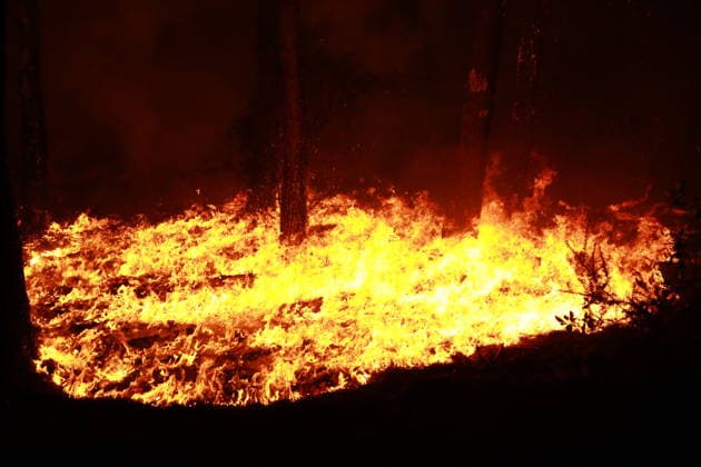 Firefighters continue battling wildfire in southwestern France LEGE-CAP-FERRET, FRANCE - JULY 29: Flames spread through the Grand Crohot forest during a controlled burn carried out near Lege-Cap-Ferret, southwestern France, on July 29, 2026. The operation was conducted as part of wildfire prevention measures following recent blazes in the region. Mohamad Salaheldin Abdelghani Alsayed Anadolu Lege-Cap-Ferret France. Editorial use only. Please get in touch for any other usage.  Copyright: x2026xAnadoluxMohamadxSalaheldinxAbdelghanixAlsayedx