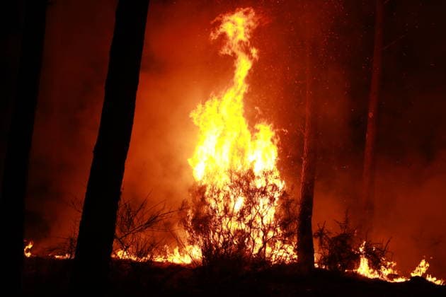 Firefighters continue battling wildfire in southwestern France LEGE-CAP-FERRET, FRANCE - JULY 29: Flames spread through the Grand Crohot forest during a controlled burn carried out near Lege-Cap-Ferret, southwestern France, on July 29, 2026. The operation was conducted as part of wildfire prevention measures following recent blazes in the region. Mohamad Salaheldin Abdelghani Alsayed Anadolu Lege-Cap-Ferret France. Editorial use only. Please get in touch for any other usage.  Copyright: x2026xAnadoluxMohamadxSalaheldinxAbdelghanixAlsayedx