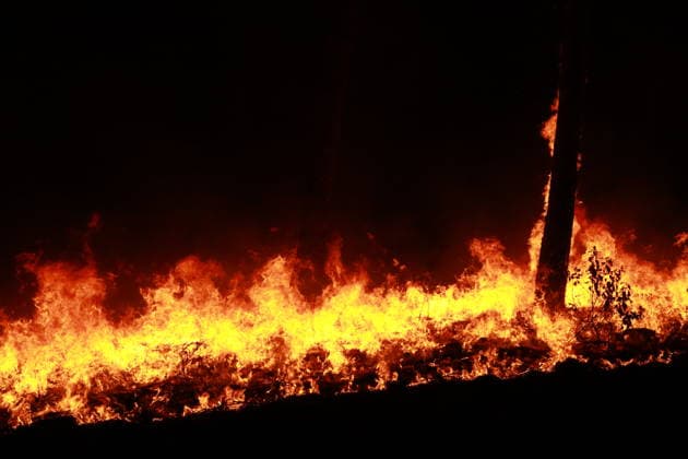 Firefighters continue battling wildfire in southwestern France LEGE-CAP-FERRET, FRANCE - JULY 29: Flames spread through the Grand Crohot forest during a controlled burn carried out near Lege-Cap-Ferret, southwestern France, on July 29, 2026. The operation was conducted as part of wildfire prevention measures following recent blazes in the region. Mohamad Salaheldin Abdelghani Alsayed Anadolu Lege-Cap-Ferret France. Editorial use only. Please get in touch for any other usage.  Copyright: x2026xAnadoluxMohamadxSalaheldinxAbdelghanixAlsayedx
