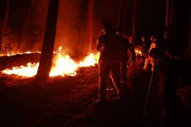 Firefighters continue battling wildfire in southwestern France LEGE-CAP-FERRET, FRANCE - JULY 29: Flames spread through the Grand Crohot forest during a controlled burn carried out near Lege-Cap-Ferret, southwestern France, on July 29, 2026. The operation was conducted as part of wildfire prevention measures following recent blazes in the region. Mohamad Salaheldin Abdelghani Alsayed Anadolu Lege-Cap-Ferret France. Editorial use only. Please get in touch for any other usage.  Copyright: x2026xAnadoluxMohamadxSalaheldinxAbdelghanixAlsayedx