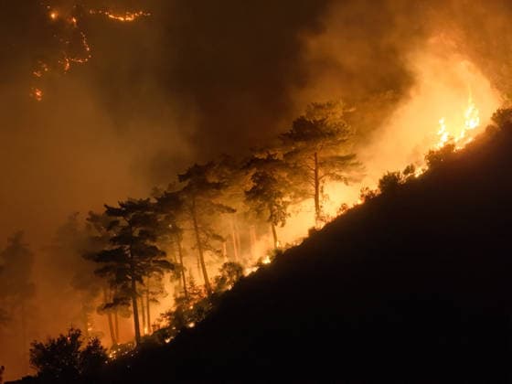Firefighting efforts continue against forest fire in Antalya ANTALYA, TURKIYE - JULY 30: An aerial view shows firefighting teams continue aerial and ground operations to contain a forest fire that spread due to strong winds in the Alanya district of Antalya, Turkiye, on July 30, 2026. Serhat Cetinkaya Anadolu Antalya Turkey. Editorial use only. Please get in touch for any other usage.  Copyright: x2026xAnadoluxSerhatxCetinkayax