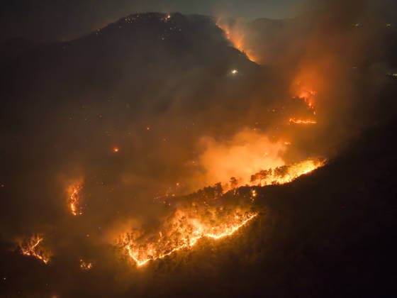 Firefighting efforts continue against forest fire in Antalya ANTALYA, TURKIYE - JULY 30: An aerial view shows firefighting teams continue aerial and ground operations to contain a forest fire that spread due to strong winds in the Alanya district of Antalya, Turkiye, on July 30, 2026. Serhat Cetinkaya Anadolu Antalya Turkey. Editorial use only. Please get in touch for any other usage.  Copyright: x2026xAnadoluxSerhatxCetinkayax