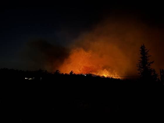 Forest fire breaks out in Mugla s Fethiye MUGLA, TURKIYE - JULY 30: Firefighting teams respond to a forest fire in the Fethiye district of Mugla, Turkiye, on July 30, 2026. Strong winds in the area caused the flames to spread rapidly as efforts to contain the blaze continued. Ali Riza Akkir Anadolu Mugla Turkey. Editorial use only. Please get in touch for any other usage.  Copyright: x2026xAnadoluxAlixRizaxAkkirx