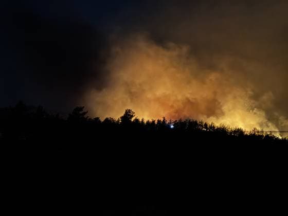 Forest fire breaks out in Mugla s Fethiye MUGLA, TURKIYE - JULY 30: Firefighting teams respond to a forest fire in the Fethiye district of Mugla, Turkiye, on July 30, 2026. Strong winds in the area caused the flames to spread rapidly as efforts to contain the blaze continued. Ali Riza Akkir Anadolu Mugla Turkey. Editorial use only. Please get in touch for any other usage.  Copyright: x2026xAnadoluxAlixRizaxAkkirx