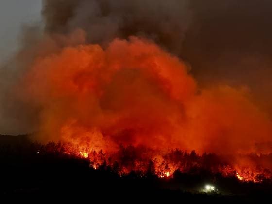Forest fire breaks out in Mugla s Fethiye MUGLA, TURKIYE - JULY 30: Firefighting teams respond to a forest fire in the Fethiye district of Mugla, Turkiye, on July 30, 2026. Strong winds in the area caused the flames to spread rapidly as efforts to contain the blaze continued. Ali Riza Akkir Anadolu Mugla Turkey. Editorial use only. Please get in touch for any other usage.  Copyright: x2026xAnadoluxAlixRizaxAkkirx