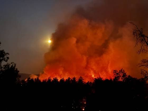 Forest fire breaks out in Mugla s Fethiye MUGLA, TURKIYE - JULY 30: Firefighting teams respond to a forest fire in the Fethiye district of Mugla, Turkiye, on July 30, 2026. Strong winds in the area caused the flames to spread rapidly as efforts to contain the blaze continued. Ali Riza Akkir Anadolu Mugla Turkey. Editorial use only. Please get in touch for any other usage.  Copyright: x2026xAnadoluxAlixRizaxAkkirx