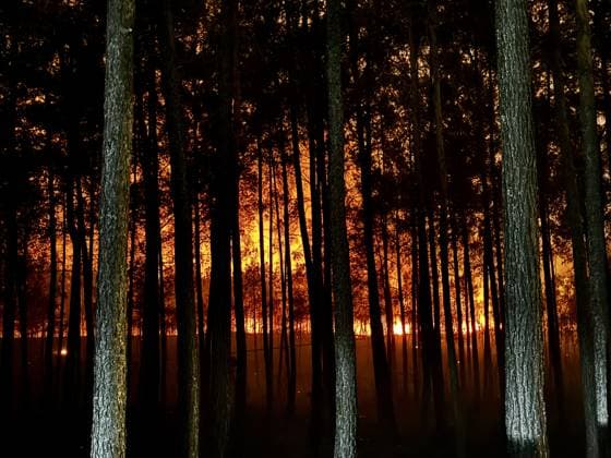 Forest fire breaks out in Mugla s Fethiye MUGLA, TURKIYE - JULY 30: Firefighting teams respond to a forest fire in the Fethiye district of Mugla, Turkiye, on July 30, 2026. Strong winds in the area caused the flames to spread rapidly as efforts to contain the blaze continued. Ali Riza Akkir Anadolu Mugla Turkey. Editorial use only. Please get in touch for any other usage.  Copyright: x2026xAnadoluxAlixRizaxAkkirx
