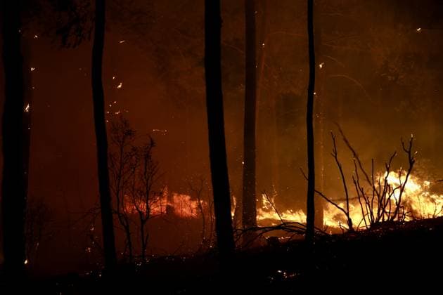 Forest fire breaks out in Mugla s Fethiye MUGLA, TURKIYE - JULY 30: Firefighting teams respond to a forest fire in the Fethiye district of Mugla, Turkiye, on July 30, 2026. Strong winds in the area caused the flames to spread rapidly as efforts to contain the blaze continued. Ali Riza Akkir Anadolu Mugla Turkey. Editorial use only. Please get in touch for any other usage.  Copyright: x2026xAnadoluxAlixRizaxAkkirx