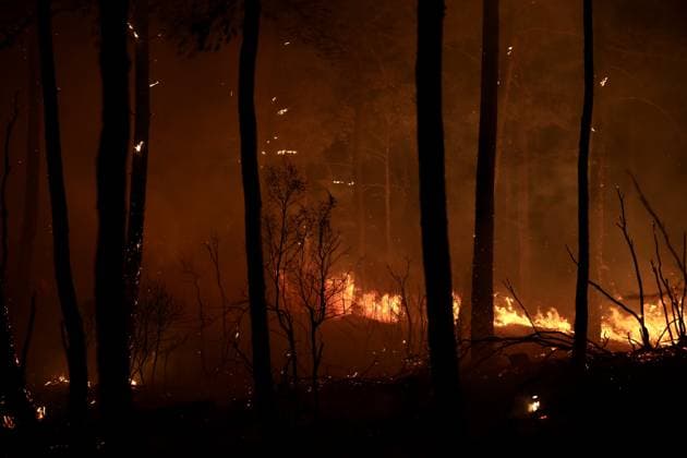 Forest fire breaks out in Mugla s Fethiye MUGLA, TURKIYE - JULY 30: Firefighting teams respond to a forest fire in the Fethiye district of Mugla, Turkiye, on July 30, 2026. Strong winds in the area caused the flames to spread rapidly as efforts to contain the blaze continued. Ali Riza Akkir Anadolu Mugla Turkey. Editorial use only. Please get in touch for any other usage.  Copyright: x2026xAnadoluxAlixRizaxAkkirx