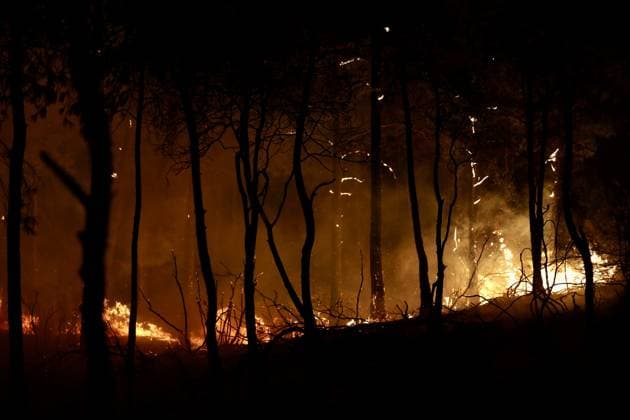 Forest fire breaks out in Mugla s Fethiye MUGLA, TURKIYE - JULY 30: Firefighting teams respond to a forest fire in the Fethiye district of Mugla, Turkiye, on July 30, 2026. Strong winds in the area caused the flames to spread rapidly as efforts to contain the blaze continued. Ali Riza Akkir Anadolu Mugla Turkey. Editorial use only. Please get in touch for any other usage.  Copyright: x2026xAnadoluxAlixRizaxAkkirx