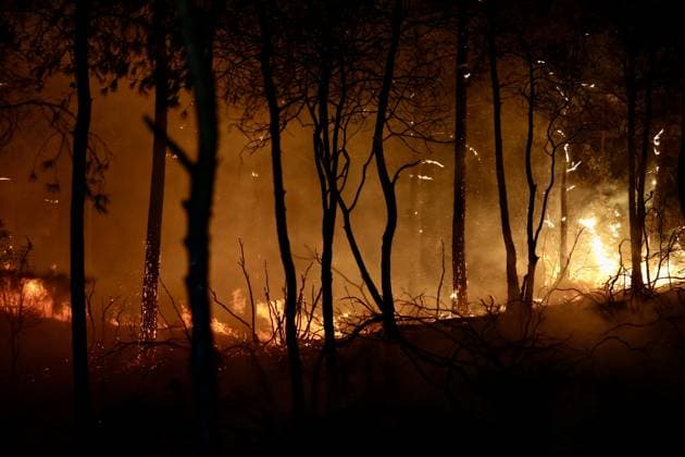 Forest fire breaks out in Mugla s Fethiye MUGLA, TURKIYE - JULY 30: Firefighting teams respond to a forest fire in the Fethiye district of Mugla, Turkiye, on July 30, 2026. Strong winds in the area caused the flames to spread rapidly as efforts to contain the blaze continued. Ali Riza Akkir Anadolu Mugla Turkey. Editorial use only. Please get in touch for any other usage.  Copyright: x2026xAnadoluxAlixRizaxAkkirx