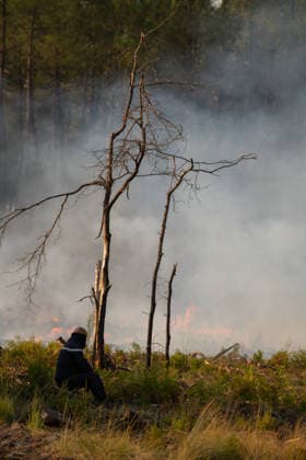 Wildfire Near Le Temple - Gironde A firefighter takes a brief rest beneath a scorched tree as smoke rises from smoldering vegetation following a wildfire near Le Temple, Gironde, southwestern France, on July 29, 2026. Fire crews continued monitoring and securing the fire perimeter while extinguishing remaining hotspots.  Copyright: xSaptexFabrice ABACAx