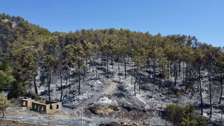 Aerial ciew reveals wildfire damage in Kumluca, Antalya ANTALYA, TURKIYE - JULY 30: An aerial view shows forested areas and buildings damaged by a wildfire that was brought under control in the Kumluca district of Antalya, on July 30, 2026 in Antalya, Turkiye. The fire left large areas of vegetation scorched and caused damage to properties in the affected region. Kasim Sakalli Anadolu Antalya Turkey. Editorial use only. Please get in touch for any other usage.  Copyright: x2026xAnadoluxKasimxSakallix