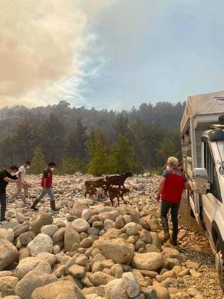 Firefighters battle wildfire in Mugla from air and ground MUGLA, TURKIYE - JULY 30 : Fire extinguishing efforts continue both from the air and land to contain a wildfire in the Seydikemer district of Mugla, Turkiye on July 30, 202 Ali Riza Akkir Anadolu Mugla Turkey. Editorial use only. Please get in touch for any other usage.  Copyright: x2026xAnadoluxAlixRizaxAkkirx