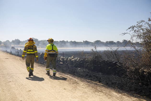 The Fermoselle wildfire has left more than 800 people evacuated from 14 towns, despite positive developments overnight. Two firefighters work to extinguish a wildfire on July 30, 2026, in Muga de Sayago, Zamora, Castile and León, Spain. The fire, which began yesterday, Wednesday, July 29, has improved overnight, with the northern and eastern fronts now stabilized, although four active sectors remain on the southern and western flanks, forcing the evacuation of more than 800 people from 14 towns JULY 30, 2026 WILDFIRE Paloma V Muga de Sayago, Zamora, Castile Muga de Sayago, Zamora, Castile Spain  Copyright: xPalomaxV.xEscarpax 7695265