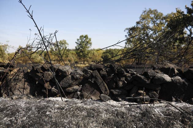 The Fermoselle wildfire has left more than 800 people evacuated from 14 towns, despite positive developments overnight. Land scorched by a wildfire on July 30, 2026, in Formillos, Zamora, Castile and León, Spain. The fire, which began yesterday, Wednesday, July 29, improved overnight, with the northern and eastern fronts now stabilized, although four active sectors remain on the southern and western flanks, forcing the evacuation of more than 800 people from 14 towns JULY 30, 2026 FOREST FIRE Paloma V Formillos, Zamora, Castile and León Formillos, Zamora, Castile and León Spain  Copyright: xPalomaxV.xEscarpax 7695268
