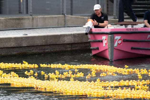 Annual Rubber Duck Race at Merchant Square, Paddington, London, UK - Thu 30 July 2026 Numbered Rubber ducks are guided to the finish line as part of the Annual Rubber Duck race in Merchant Square, Paddington in London, England, UK on Thursday 30 July 2026 and in aid of the Cosmic Charity, an organisation that supports the children and neonatal intensive care units at St Mary™s & Queen Charlotte™s Hospital., Credit:Justin Ng Avalon UK, England, London, Merchant Square, Paddington  Copyright: xJustinxNgx xAvalonx 1119713740