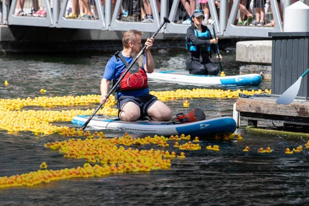 Annual Rubber Duck Race at Merchant Square, Paddington, London, UK - Thu 30 July 2026 Numbered Rubber ducks are guided to the finish line as part of the Annual Rubber Duck race in Merchant Square, Paddington in London, England, UK on Thursday 30 July 2026 and in aid of the Cosmic Charity, an organisation that supports the children and neonatal intensive care units at St Mary™s & Queen Charlotte™s Hospital., Credit:Justin Ng Avalon UK, England, London, Merchant Square, Paddington  Copyright: xJustinxNgx xAvalonx 1119713751