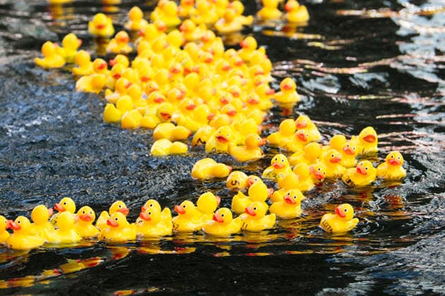 Annual Rubber Duck Race at Merchant Square, Paddington, London, UK - Thu 30 July 2026 Numbered Rubber ducks are guided to the finish line as part of the Annual Rubber Duck race in Merchant Square, Paddington in London, England, UK on Thursday 30 July 2026 and in aid of the Cosmic Charity, an organisation that supports the children and neonatal intensive care units at St Mary™s & Queen Charlotte™s Hospital., Credit:Justin Ng Avalon UK, England, London, Merchant Square, Paddington  Copyright: xJustinxNgx xAvalonx 1119713755