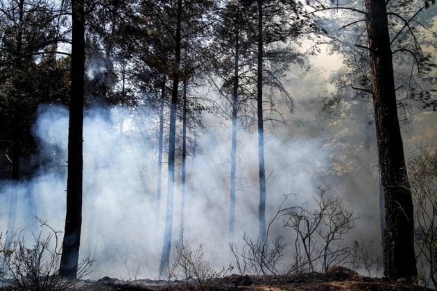 Firefighting efforts continue in Turkiye s Mugla MUGLA, TURKIYE - JULY 30: Firefighters, Turkish General Directorate of Forestry teams and citizens, living in the area, continue their efforts to extinguish the fire while air and land intervention continues against the forest fire in Seydikemer district of Mugla, Turkiye on July 30, 2026. Mahmut Serdar Alakus Anadolu Mugla Turkey. Editorial use only. Please get in touch for any other usage.  Copyright: x2026xAnadoluxMahmutxSerdarxAlakusx