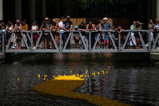 July 30, 2026, London, London, UK: LONDON, UK. Some of the three thousand sponsored rubber ducks floating to the finish of a charity rubber duck race in Merchant Square, Paddington Basin, raising funds for the paediatric intensive care unit at St MaryÃ¢â‚¬â ¢s Hospital through the charity COSMIC (Children of St Mary Intensive Care). Each duck has been sponsored by a member of the public. London UK  - ZUMAl94_ 20260730_zaf_l94_054 Copyright: xStephenxChungx