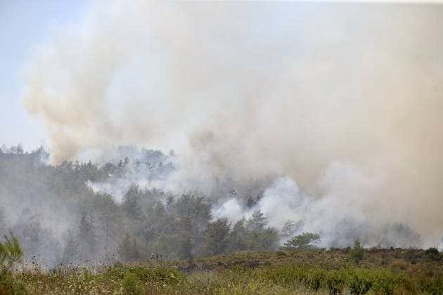The forest fire in Fethiye, which had been brought under control, reignited due to the wind FETHIYE, TURKIYE - JULY 30: Smoke from the fire area fills the sky while firefighters, Turkish General Directorate of Forestry teams and forest workers continue their efforts from air and land to extinguish the fire that reignited due to the wind after having been brought under control in Fethiye district of Mugla, Turkiye on July 30, 2026. Ali Riza Akkir Anadolu Mugla Turkey. Editorial use only. Please get in touch for any other usage.  Copyright: x2026xAnadoluxAlixRizaxAkkirx