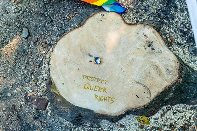 Berlin, 30.07.2026,Opfergedenken an den CSD Terroranschlag vom 25.07.26 im Großen Tiergarten - der Baum wurde gefällt *** Berlin, July 30, 2026: Memorial service for the victims of the CSD terrorist attack on July 25, 2026, in the Großer Tiergarten; the tree was cut down