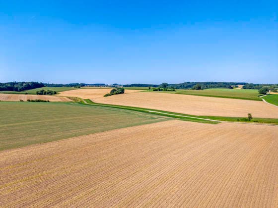 Abgeerntetes Getreidefeld, Stoppelfeld, Sommer, Trockenheit, Klimawandel, Luftaufname, Drohnenaufnahme, Landschaft, Bayern, Deutschland Abgeerntetes Getreidefeld, Stoppelfeld *** Harvested grain field, stubble field, summer, drought, climate change, aerial photograph, drone photograph, landscape, Bavaria, Germany Harvested grain field, stubble field