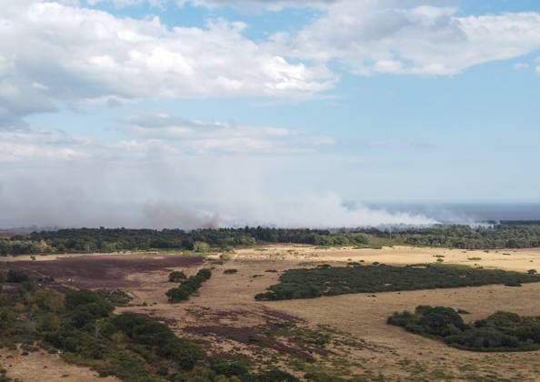 Heath fire breaks out in United Kingdom LEISTON, UNITED KINGDOM - JULY 30: Smoke rises around the area where firefighters responded to a large wildfire and heath fire at Dunwich Heath near Suffolk in Leiston, United Kingdom, on July 30, 2026. A major incident was declared after the blaze spread across approximately 100 hectares, prompting the evacuation of nearby areas. Rasid Necati Aslim Anadolu Leiston United Kingdom. Editorial use only. Please get in touch for any other usage.  Copyright: x2026xAnadoluxRasidxNecatixAslimx