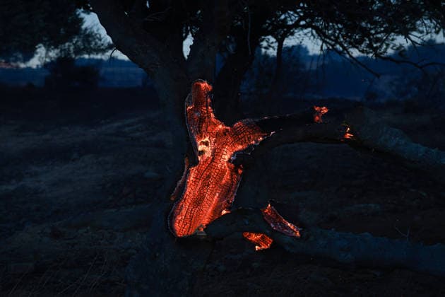 Forest fire in the Greek island of Crete CRETE, GREECE - JULY 30: A view of the embers on the trunk of a tree that is still burning as firefighters continue their efforts to extinguish the wildfire near the village of Agia Paraskevi, in Rethymno, on the island of Crete, Greece, on July 30, 2026. Costas Baltas Anadolu Crete Greece. Editorial use only. Please get in touch for any other usage.  Copyright: x2026xAnadoluxCostasxBaltasx