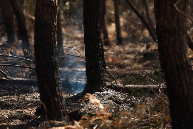 France continues wildfire battle as heat wave keeps Europe on alert BORDEAUX, FRANCE - JULY 30: Firefighters continue efforts to contain a wildfire near Bordeaux in southwestern France as France and Spain battle multiple blazes amid high temperatures and the risk of flare-ups, with active fires reported in Gironde, Var and Cote-d Or and 21 French departments under orange heatwave alerts on July 30, 2026. Four firefighters are injured while battling a fire in the Var department before it is brought under control overnight, including one who suffers a fracture and others affected by minor smoke inhalation, while operations remain difficult due to intense heat and expected southwesterly winds, although crews in Gironde express optimism after a  Copyright: x2026xAnadoluxMohamadxSalaheldinxAbdelghanixAlsayedx
