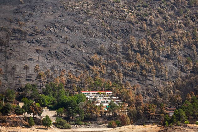 Aftermath of wildfires in Spain AVILA, SPAIN - JULY 30: Burnt forest overlooking the Burguillo reservoir after raging wildfires in Avila, Spain on July 30, 2026. Tamara Rozas Anadolu Avila Spain. Editorial use only. Please get in touch for any other usage.  Copyright: x2026xAnadoluxTamaraxRozasx