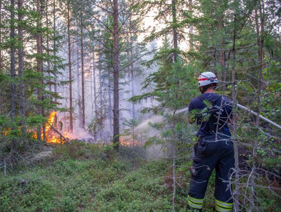 SKINNSKATTEBERG 20260730 Skogsbrand i Skinnskatteberg. Skinnskatteberg Sverige x10199x *** SKINNSKATTEBERG 20260730 Forest fire in Skinnskatteberg Skinnskatteberg Sweden x10199x  Copyright: xNiklasxHagman TTx SKOGSBRAND SKINNSKATTEBERG a6oDdTSGfis