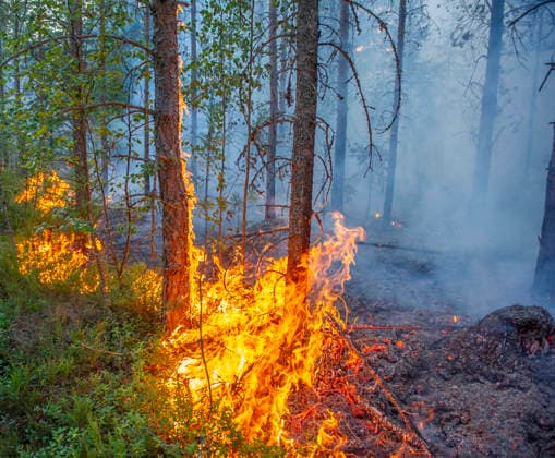 SKINNSKATTEBERG 20260730 Skogsbrand i Skinnskatteberg. Skinnskatteberg Sverige x10199x *** SKINNSKATTEBERG 20260730 Forest fire in Skinnskatteberg Skinnskatteberg Sweden x10199x  Copyright: xNiklasxHagman TTx SKOGSBRAND SKINNSKATTEBERG NShuC6-X4ck