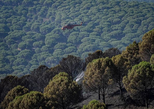 Forest fire response continues in Gomec, Balikesir BALIKESIR, TURKIYE - JULY 31: A firefighting helicopter drops water over a forest fire burning between the Gomec and Ayvalik districts of Balikesir, Turkiye, on July 31, 2026. Firefighting efforts continue with aerial and ground crews after the wildfire, which started in Gomec, spread to the neighboring district of Ayvalik. Sergen Sezgin Anadolu Balikesir Turkey. Editorial use only. Please get in touch for any other usage.  Copyright: x2026xAnadoluxSergenxSezginx