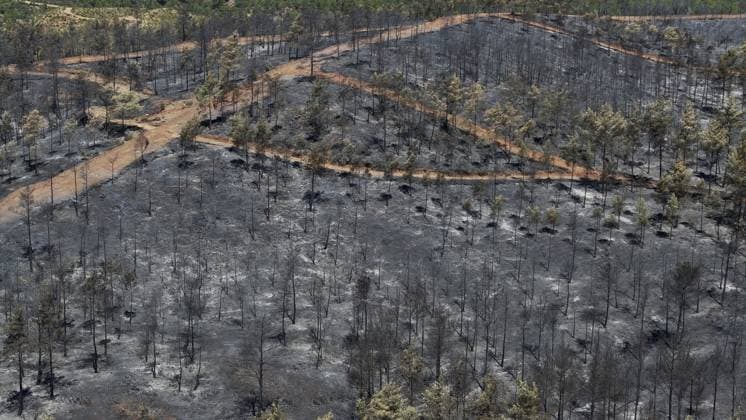 Aerial view shows fire-damaged forest area in Fethiye, Mugla MUGLA, TURKIYE - JULY 31: An aerial view shows the forested area damaged by a fire in the Fethiye district of Mugla, Turkiye on July 31, 2026. The wildfire left visible damage across the woodland area. Ali Riza Akkir Anadolu Mugla Turkey. Editorial use only. Please get in touch for any other usage.  Copyright: x2026xAnadoluxAlixRizaxAkkirx