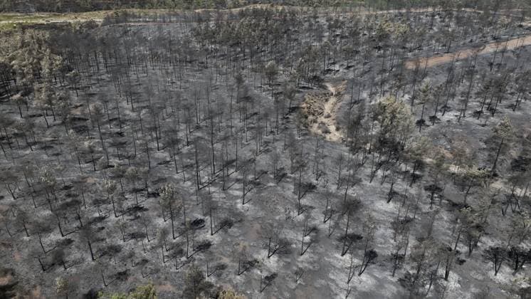 Aerial view shows fire-damaged forest area in Fethiye, Mugla MUGLA, TURKIYE - JULY 31: An aerial view shows the forested area damaged by a fire in the Fethiye district of Mugla, Turkiye on July 31, 2026. The wildfire left visible damage across the woodland area. Ali Riza Akkir Anadolu Mugla Turkey. Editorial use only. Please get in touch for any other usage.  Copyright: x2026xAnadoluxAlixRizaxAkkirx