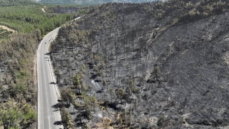 Aerial view shows fire-damaged forest area in Fethiye, Mugla MUGLA, TURKIYE - JULY 31: An aerial view shows the forested area damaged by a fire in the Fethiye district of Mugla, Turkiye on July 31, 2026. The wildfire left visible damage across the woodland area. Ali Riza Akkir Anadolu Mugla Turkey. Editorial use only. Please get in touch for any other usage.  Copyright: x2026xAnadoluxAlixRizaxAkkirx