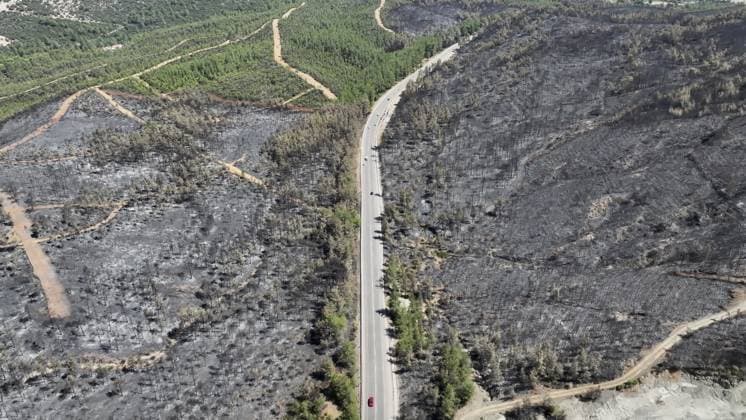 Aerial view shows fire-damaged forest area in Fethiye, Mugla MUGLA, TURKIYE - JULY 31: An aerial view shows the forested area damaged by a fire in the Fethiye district of Mugla, Turkiye on July 31, 2026. The wildfire left visible damage across the woodland area. Ali Riza Akkir Anadolu Mugla Turkey. Editorial use only. Please get in touch for any other usage.  Copyright: x2026xAnadoluxAlixRizaxAkkirx