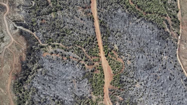 Aerial view shows fire-damaged forest area in Fethiye, Mugla MUGLA, TURKIYE - JULY 31: An aerial view shows the forested area damaged by a fire in the Fethiye district of Mugla, Turkiye on July 31, 2026. The wildfire left visible damage across the woodland area. Ali Riza Akkir Anadolu Mugla Turkey. Editorial use only. Please get in touch for any other usage.  Copyright: x2026xAnadoluxAlixRizaxAkkirx