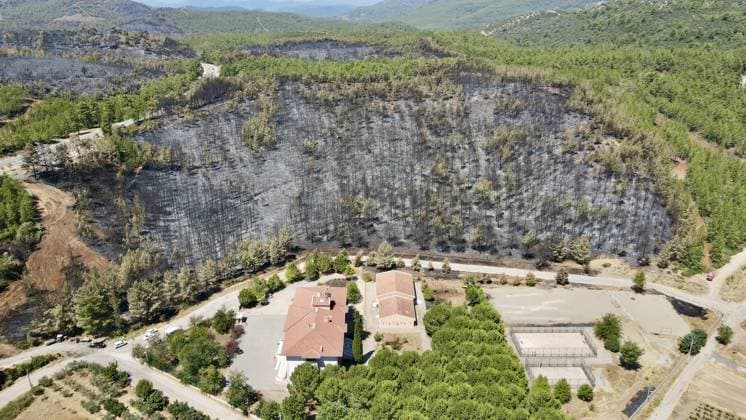 Aerial view shows fire-damaged forest area in Fethiye, Mugla MUGLA, TURKIYE - JULY 31: An aerial view shows the forested area damaged by a fire in the Fethiye district of Mugla, Turkiye on July 31, 2026. The wildfire left visible damage across the woodland area. Ali Riza Akkir Anadolu Mugla Turkey. Editorial use only. Please get in touch for any other usage.  Copyright: x2026xAnadoluxAlixRizaxAkkirx