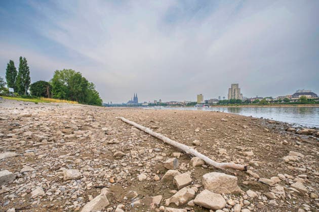 Niedrigwasser am Rhein in Koeln (Foto vom 31.08.2026). Die Pegelstaende im Rhein grenzen teils an Tiefstwerten. In Koeln wird ein historischer Tiefstand befuerchtet. Das Niedrigwasser hat massive Auswirkungen auf die Schifffahrt. Gueterschiffe muessen ihre Ladung teils um mehr als die Haelfte reduzieren, Personenfahrten fallen teilweise aus. EDITORIAL USE ONLY *** Low Water Levels on the Rhine in Cologne; Photo from August 31, 2026. Water levels on the Rhine are approaching record lows in some areas. In Cologne, a historic low is feared. The low water levels are having a massive impact on shipping; some cargo ships must reduce their cargo by more than half, and some passenger services are being canceled. EDITORIAL USE ONLY Copyright: epd-bild GuidoxSchiefer epd--Koeln_Niedrigwasser1-kopieren