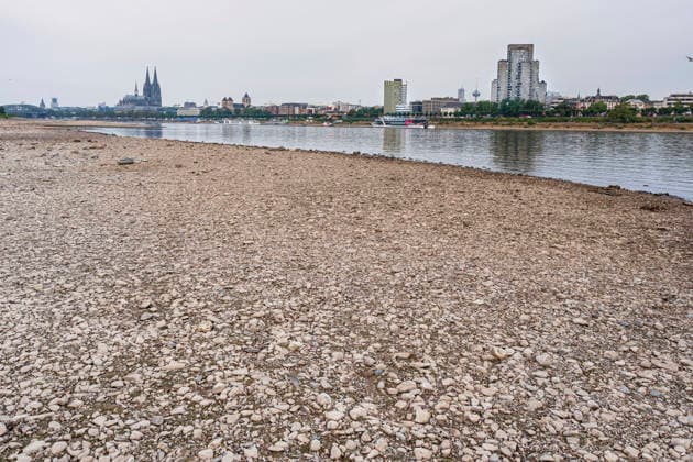 Niedrigwasser am Rhein in Koeln (Foto vom 31.08.2026). Die Pegelstaende im Rhein grenzen teils an Tiefstwerten. In Koeln wird ein historischer Tiefstand befuerchtet. Das Niedrigwasser hat massive Auswirkungen auf die Schifffahrt. Gueterschiffe muessen ihre Ladung teils um mehr als die Haelfte reduzieren, Personenfahrten fallen teilweise aus. EDITORIAL USE ONLY *** Low Water Levels on the Rhine in Cologne; Photo from August 31, 2026. Water levels on the Rhine are approaching record lows in some areas. In Cologne, a historic low is feared. The low water levels are having a massive impact on shipping; some cargo ships must reduce their cargo by more than half, and some passenger services are being canceled. EDITORIAL USE ONLY Copyright: epd-bild GuidoxSchiefer epd--Koeln_Niedrigwasser2-kopieren