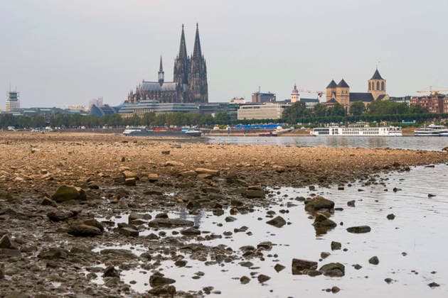 Ein Frachtschiff faehrt bei Niedrigwasser mit geringer Ladung ueber den Rhein am Dom in Koeln vorbei (Foto vom 31.08.2026). Die Pegelstaende im Rhein grenzen teils an Tiefstwerten. In Koeln wird ein historischer Tiefstand befuerchtet. Das Niedrigwasser hat massive Auswirkungen auf die Schifffahrt. Gueterschiffe muessen ihre Ladung teils um mehr als die Haelfte reduzieren, Personenfahrten fallen teilweise aus. EDITORIAL USE ONLY *** A cargo ship with a light load sails down the Rhine past Cologne Cathedral during low water. Photo taken on August 31, 2026. Water levels in the Rhine are approaching record lows in some areas. In Cologne, a historic low is feared. The low water levels are having a massive impact on shipping; cargo ships must in Copyright: epd-bild GuidoxSchiefer epd--Koeln_Niedrigwasser3-kopieren
