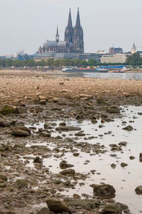 Ein Frachtschiff faehrt bei Niedrigwasser mit geringer Ladung ueber den Rhein am Dom in Koeln vorbei (Foto vom 31.08.2026). Die Pegelstaende im Rhein grenzen teils an Tiefstwerten. In Koeln wird ein historischer Tiefstand befuerchtet. Das Niedrigwasser hat massive Auswirkungen auf die Schifffahrt. Gueterschiffe muessen ihre Ladung teils um mehr als die Haelfte reduzieren, Personenfahrten fallen teilweise aus. EDITORIAL USE ONLY *** A cargo ship with a light load sails down the Rhine past Cologne Cathedral during low water. Photo taken on August 31, 2026. Water levels in the Rhine are approaching record lows in some areas. In Cologne, a historic low is feared. The low water levels are having a massive impact on shipping; cargo ships must in Copyright: epd-bild GuidoxSchiefer epd--Koeln_Niedrigwasser6-kopieren