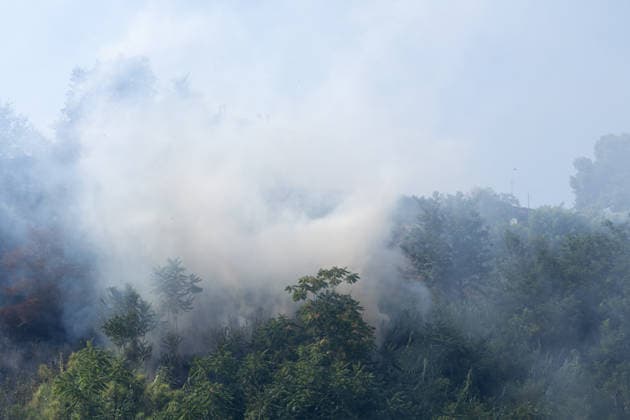 IPA87137252 - Rome: Fire Breaks Out on Monte Ciocci in Rome  Copyright: xMatteoxNardonex xx 87137252