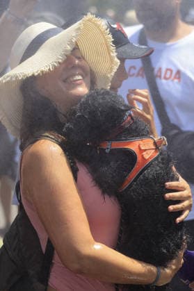 Fourth heatwave in Italy ROME, ITALY, JULY 31: A tourist and her dog cool off under mist cannons set by the Civil Protection in front of the Colosseum in Rome, Italy, on July 31, 2026. The fourth heatwave driven by an African anticyclone has hit Italy, with the Health Ministry placing 11 cities under its highest heat alert and expected to add more in the coming days, as temperatures are forecast to exceed 40 degrees Celsius. Riccardo De Luca Anadolu Rome Italy. Editorial use only. Please get in touch for any other usage.  Copyright: x2026xAnadoluxRiccardoxDexLucax